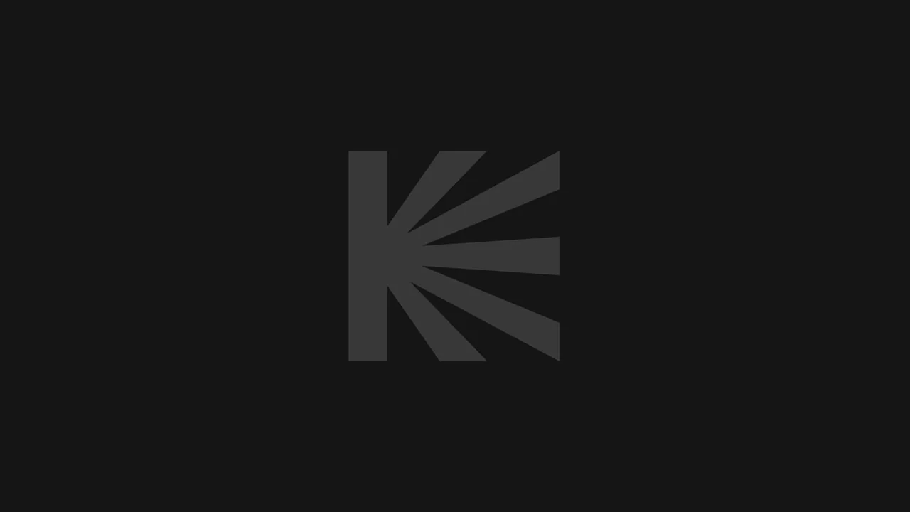 Фильм Астрал. Поместье ужаса (2024)