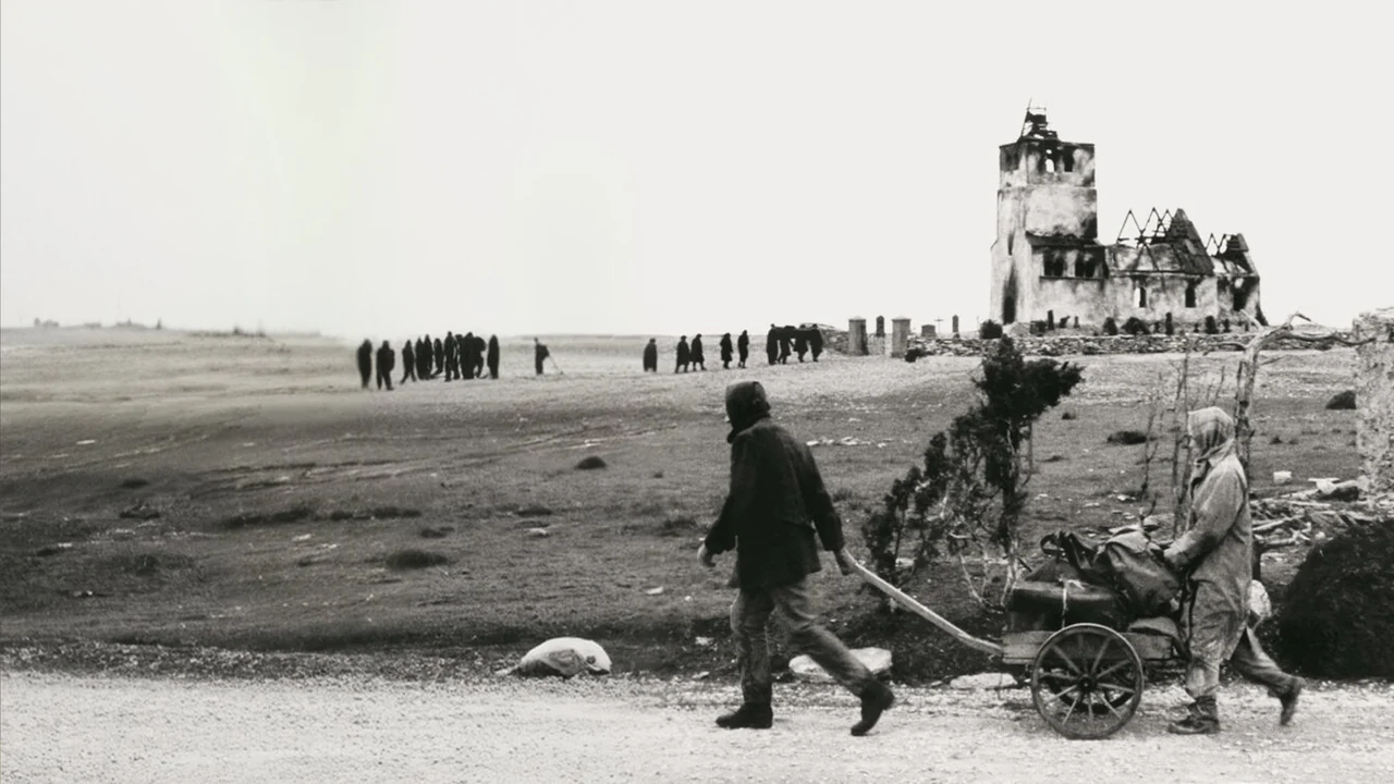 Фильм Стыд (1968)
